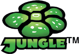 Jungle Pokémon Card List & Set Guide