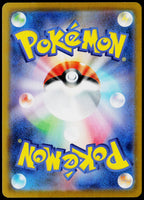 Mega Camerupt ex 013/063 RR, Japanese - back