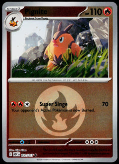 Pignite 030/217 Energy Symbol Reverse Holo EN - original scanned front