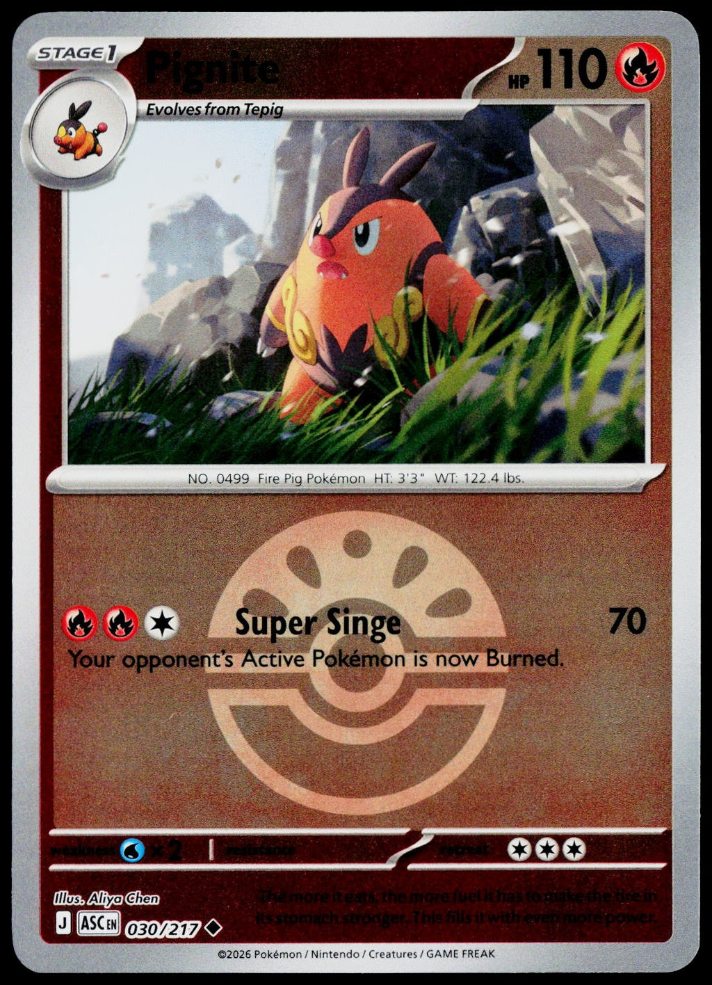 Pignite 030/217 Friend Ball Reverse Holo EN - original scanned front