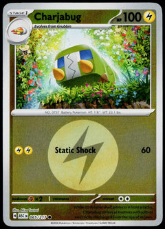 Charjabug 065/217 Energy Symbol Reverse Holo EN - original scanned front