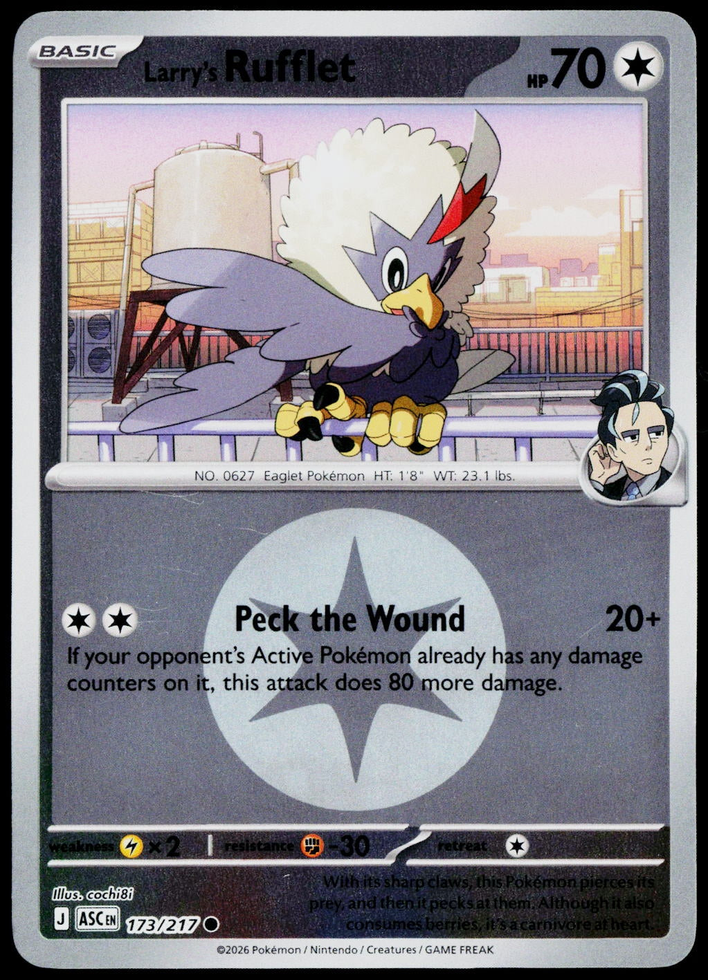 Larry's Rufflet 173/217 Energy Symbol Reverse Holo EN - original scanned front