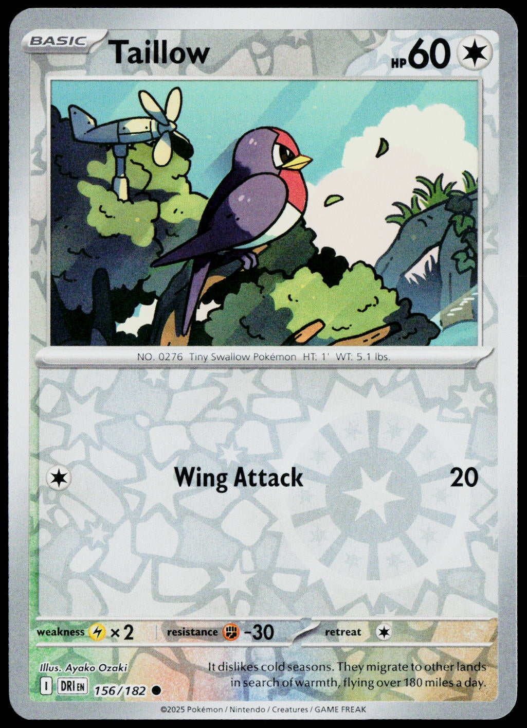 Taillow 156/182  Reverse Holo EN - original scanned front