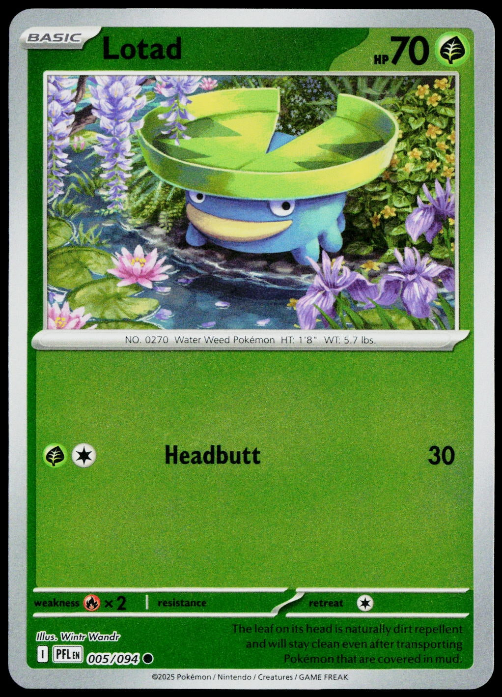 Lotad 005/094  Reverse Holo EN - original scanned front