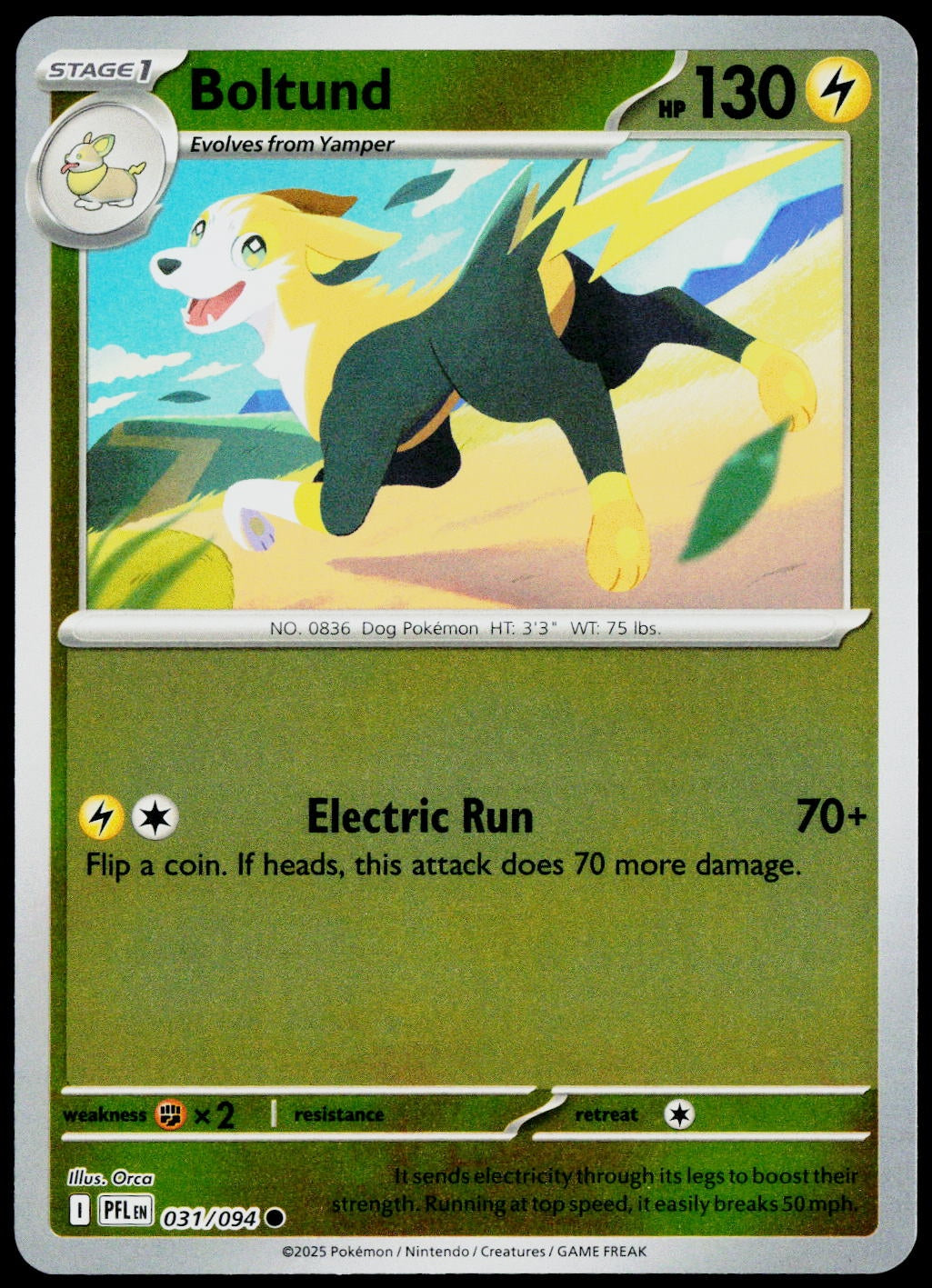 Boltund 031/094  Reverse Holo EN - original scanned front