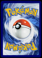 Tepig 011/086  Reverse Holo EN - original scanned back