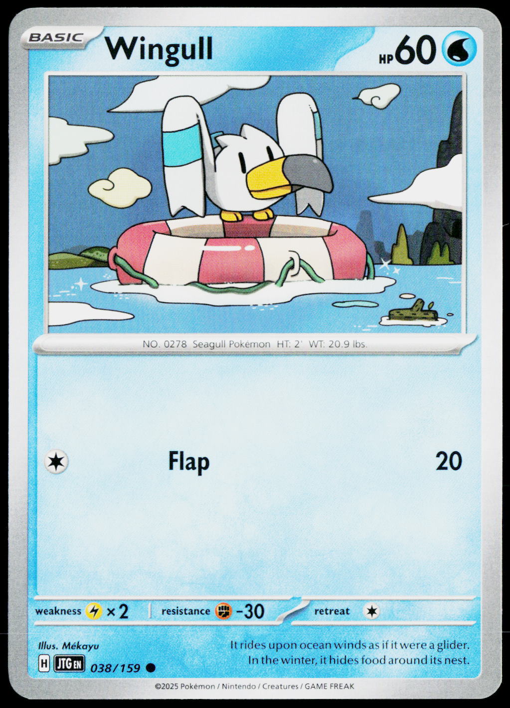 Wingull 038/159 EN — original front scan