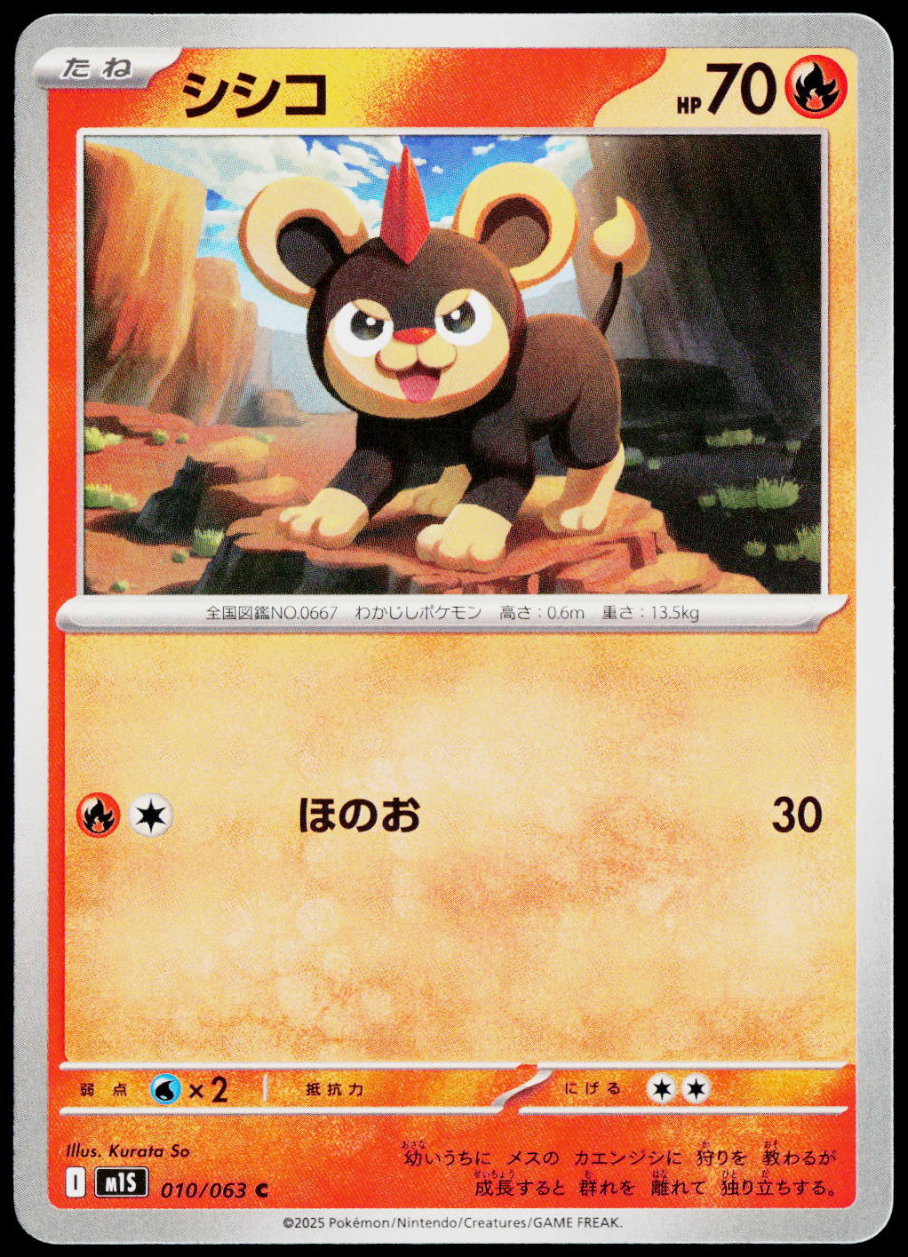 Litleo 010/063 JA — original front scan
