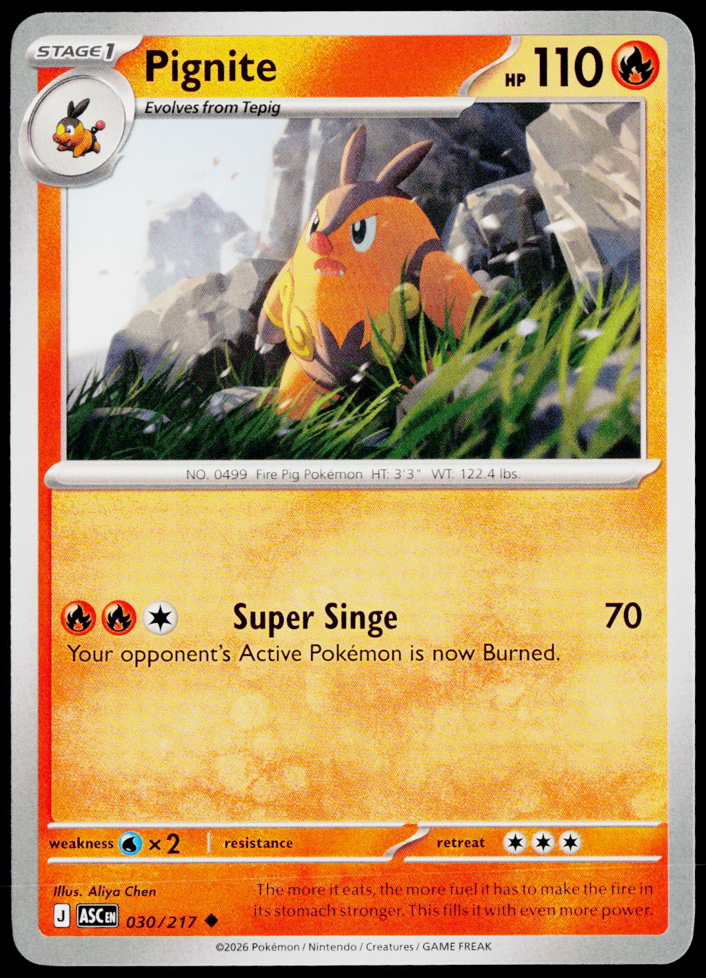 Pignite 030/217 EN — original front scan