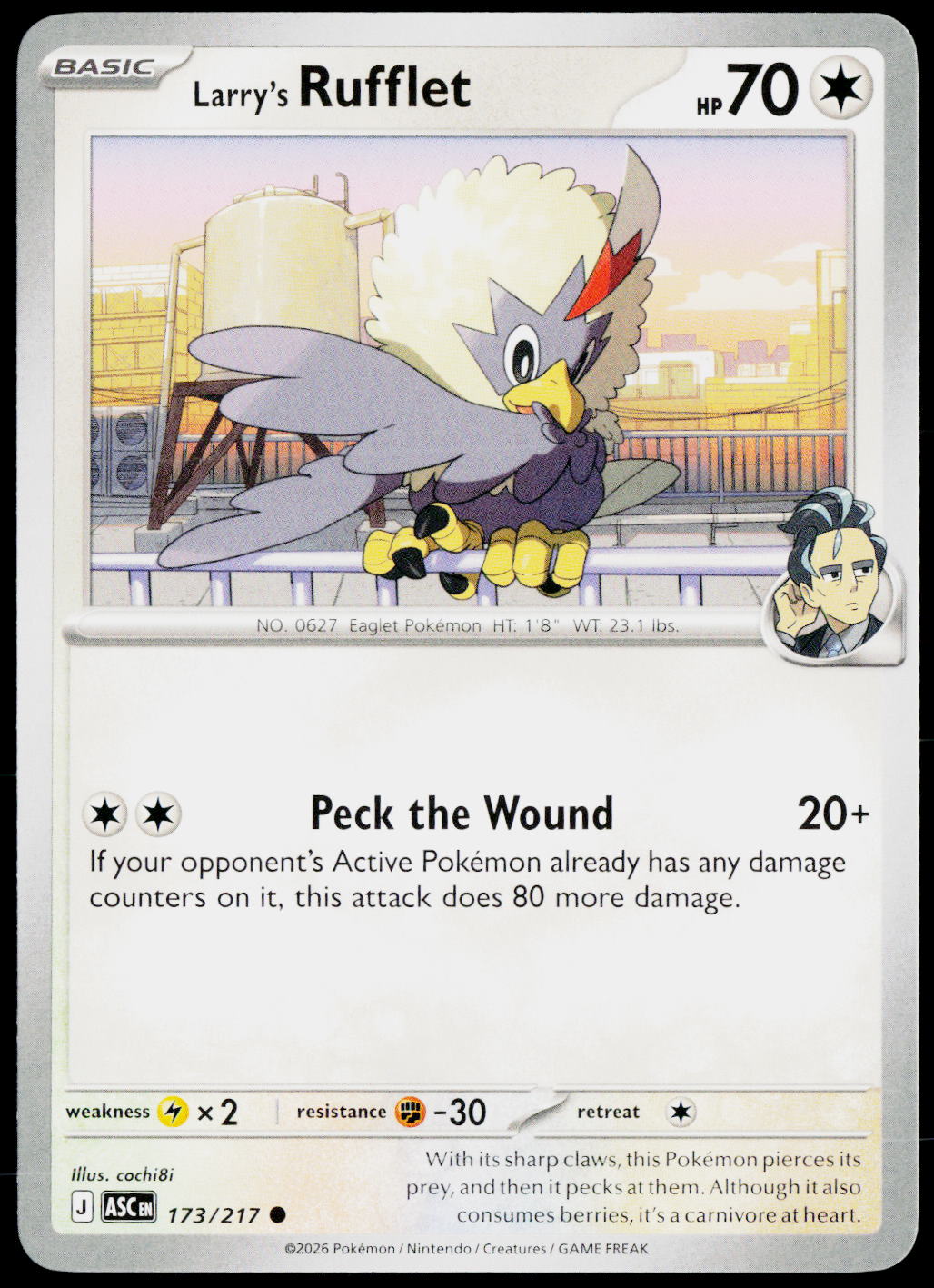 Larry's Rufflet 173/217 EN — original front scan