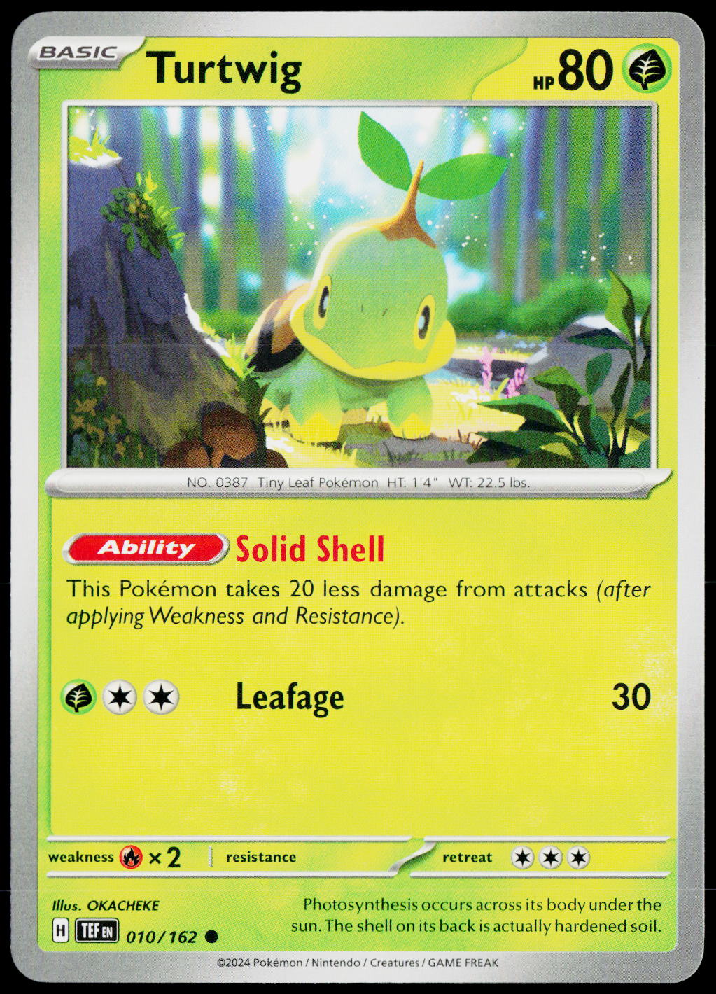 Turtwig 010/162 EN — original front scan