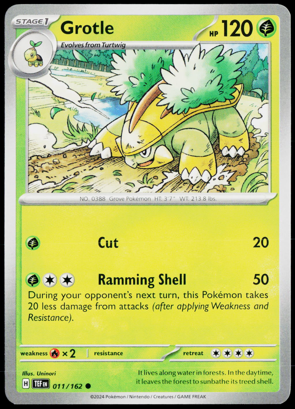 Grotle 011/162 EN — original front scan