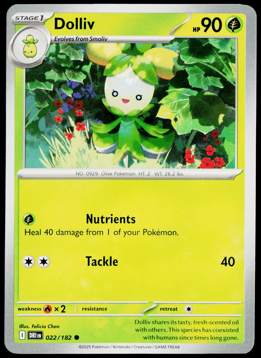 Dolliv 022/182 EN — original front scan