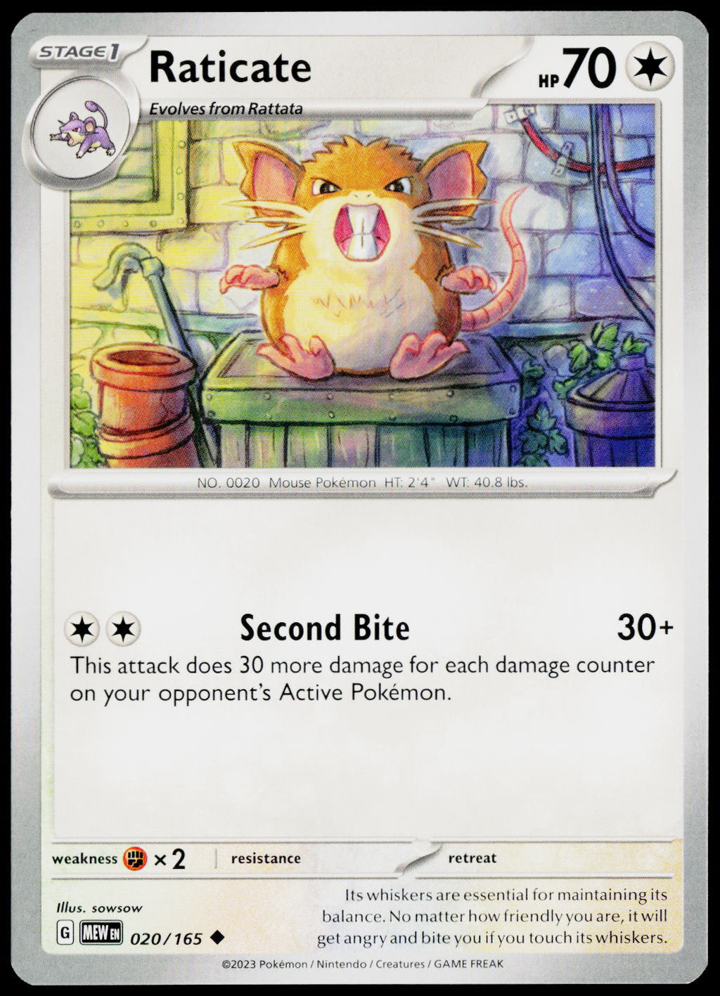 Raticate 020/165 EN — original front scan