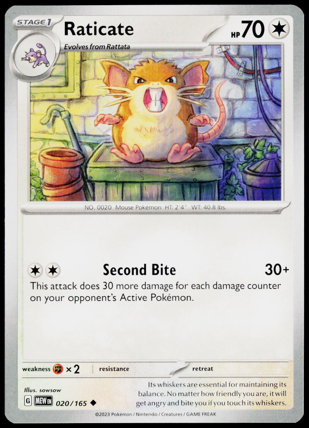 Raticate 020/165 EN — original front scan