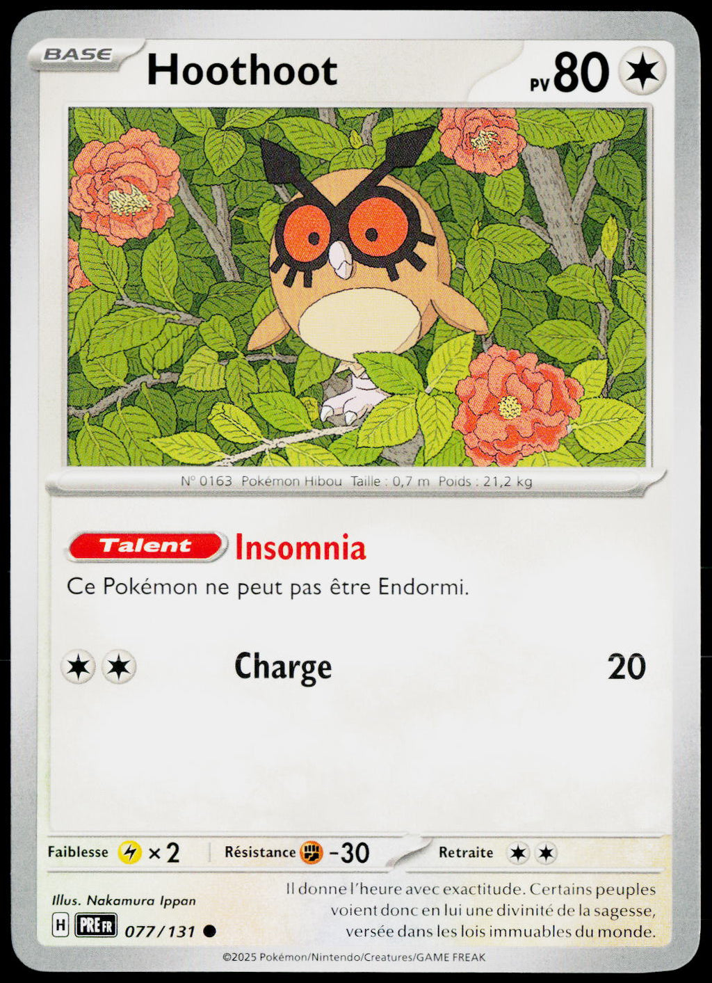 Hoothoot 077/131 FR — original front scan