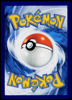 Raichu 056/217 DE — original back scan