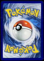 Cynthia's Gible 102/182 EN — original back scan