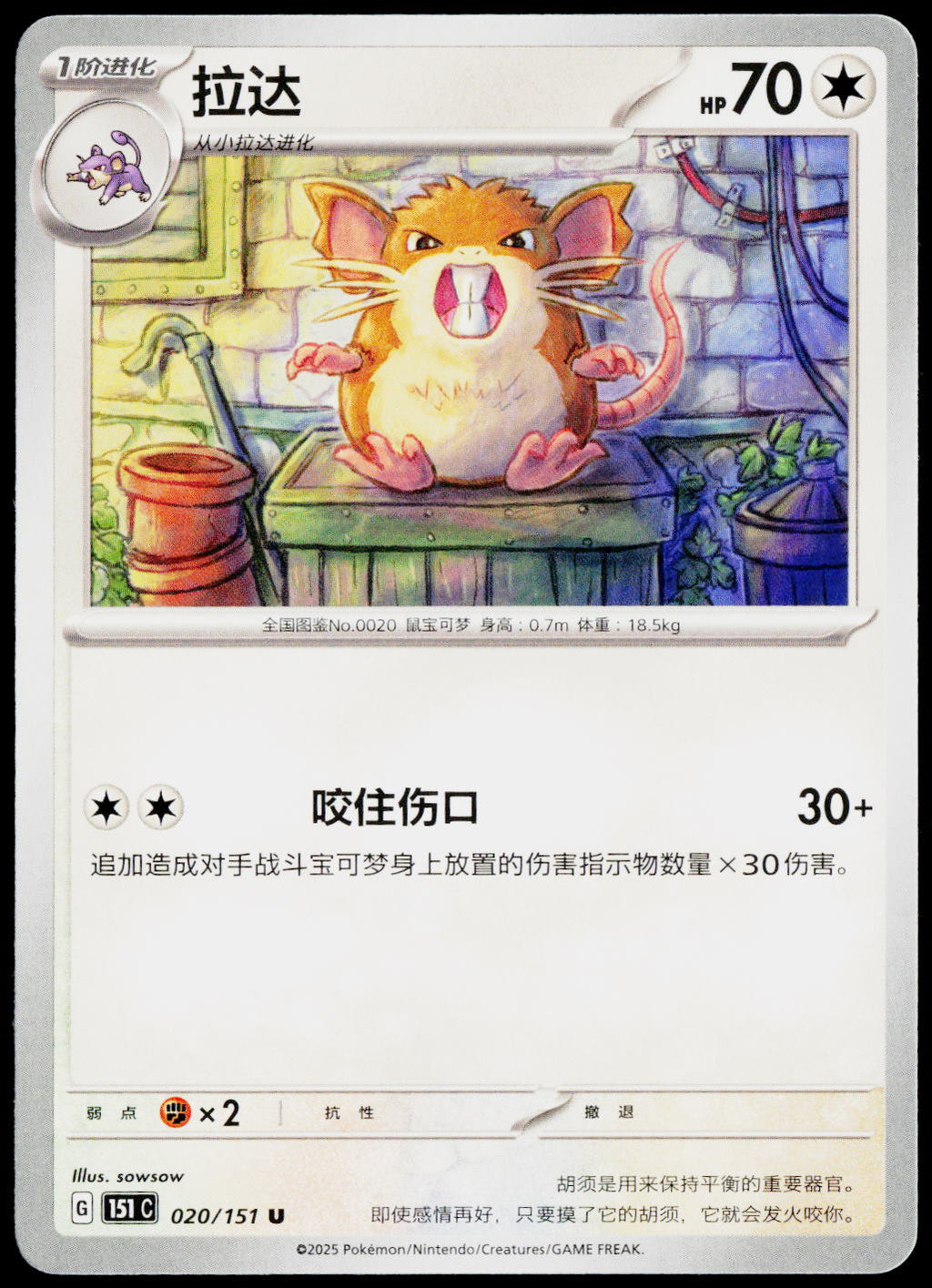 Raticate 020/151 ZH-HANS non-holo - original scanned front