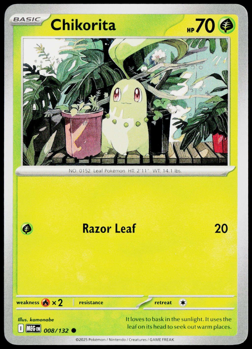 Chikorita 008/132 EN non-holo - original scanned front